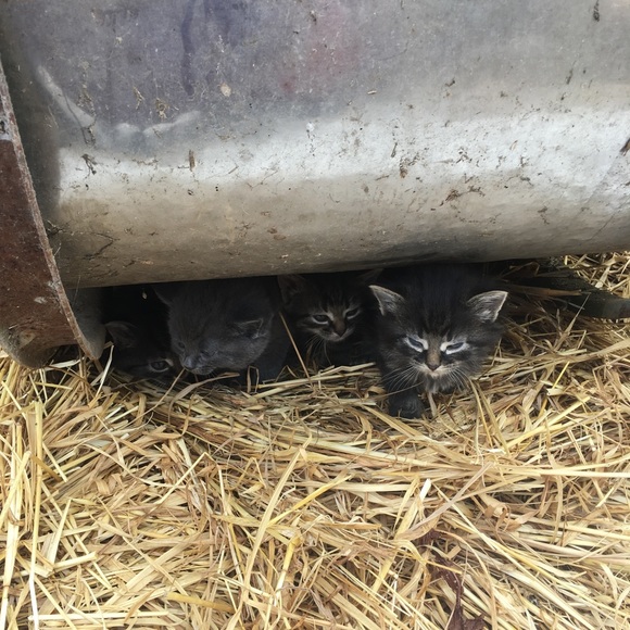 Meet your Posher, Christine - Picture 14 of 16